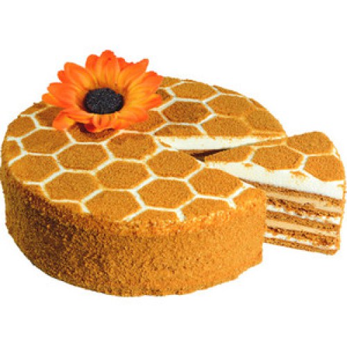 Торт в разрезе