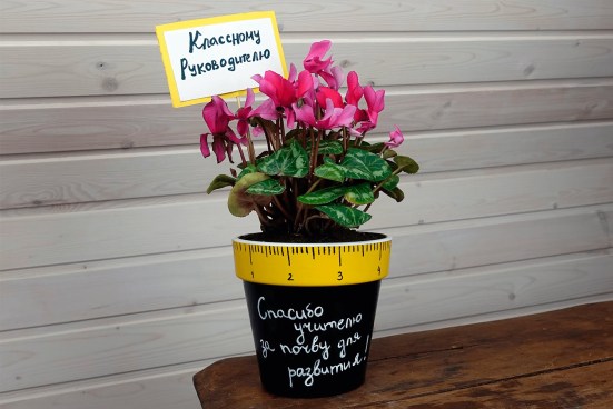 Чем порадовать учителя